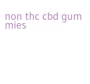 non thc cbd gummies