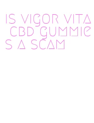 is vigor vita cbd gummies a scam