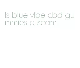 is blue vibe cbd gummies a scam