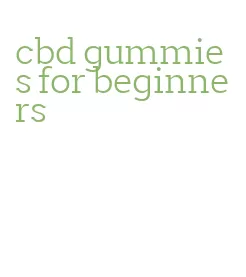 cbd gummies for beginners