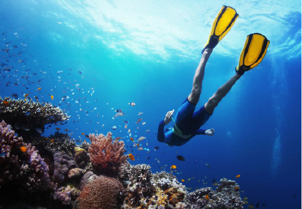 Aqaba diving