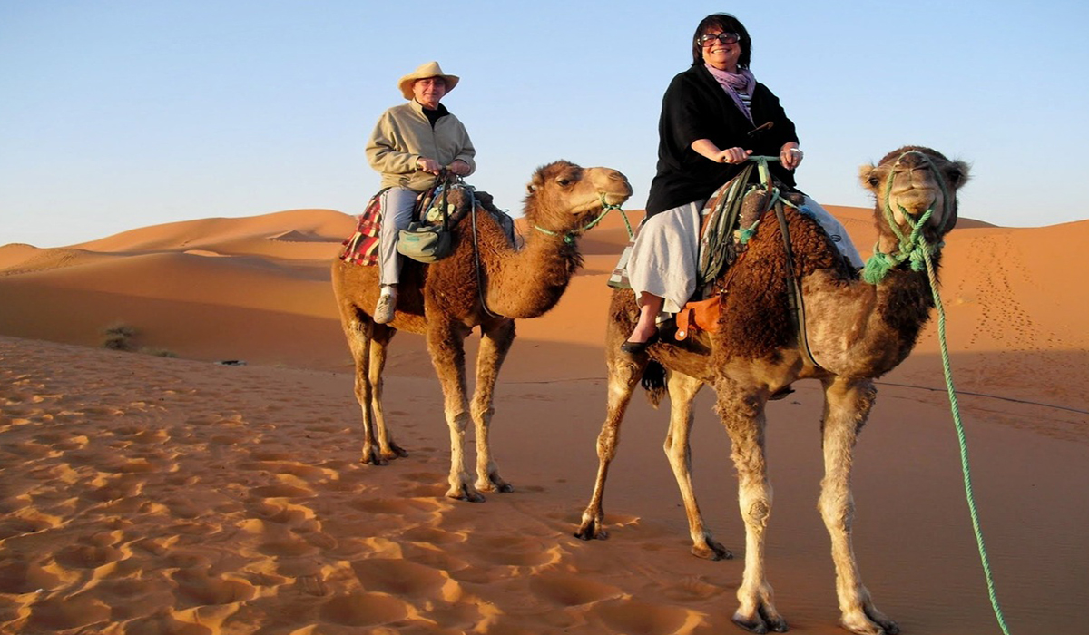 Camel Trekking.