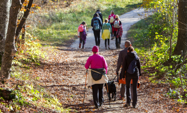 Ayoun Trails Hike