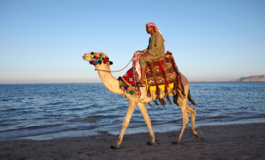 Cairo, Nile & Sharm