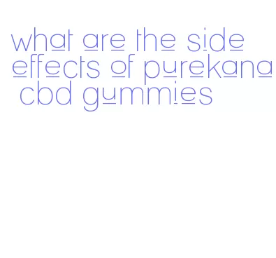 what are the side effects of purekana cbd gummies